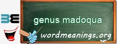 WordMeaning blackboard for genus madoqua